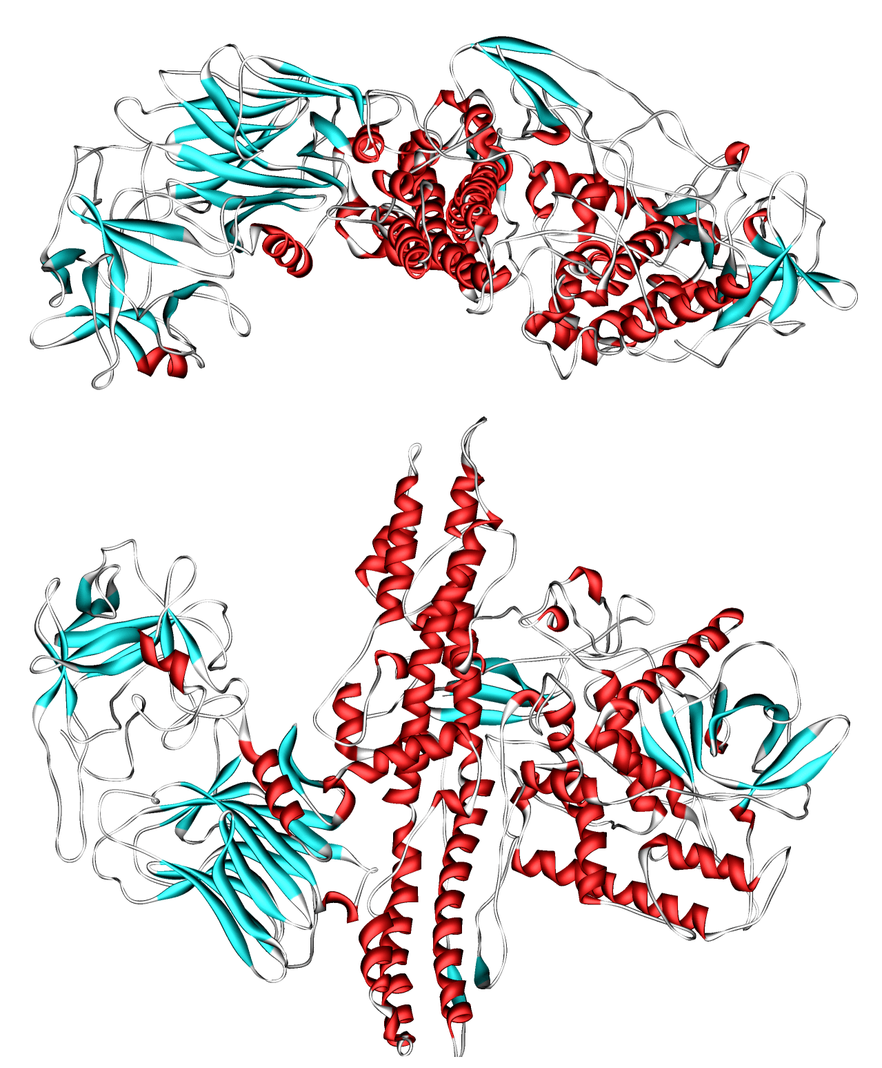 Βοτουλινική τοξίνη ορότυπου Α (Clostridium botulinum)