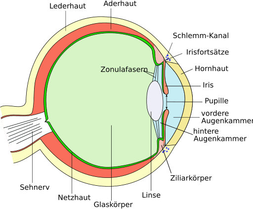 Eye scheme