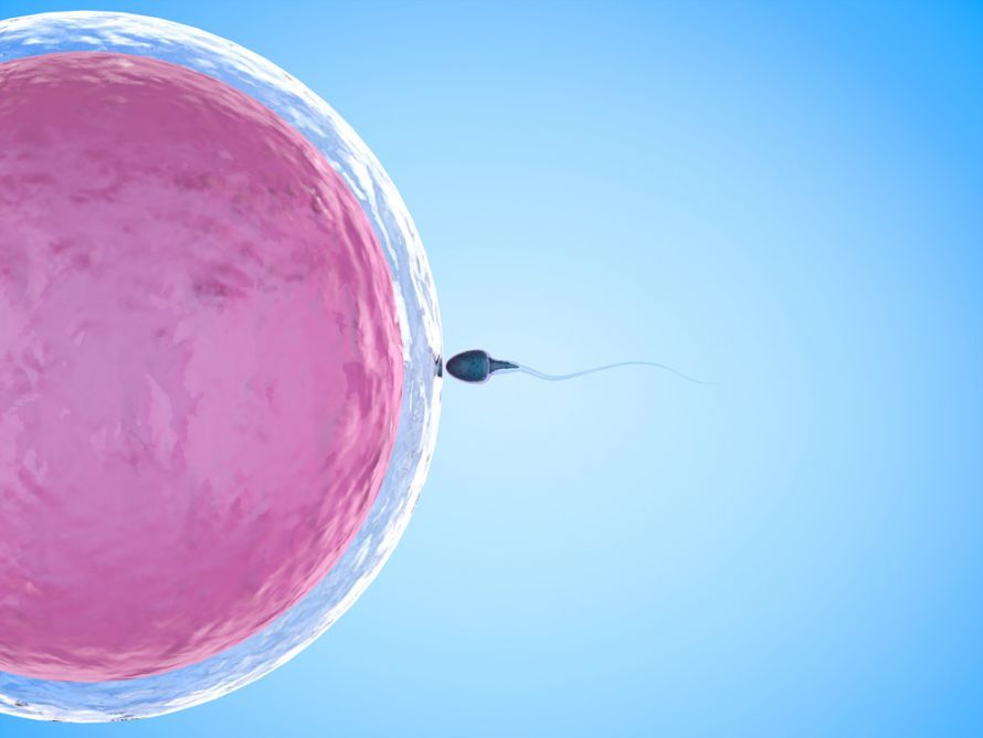 IVF