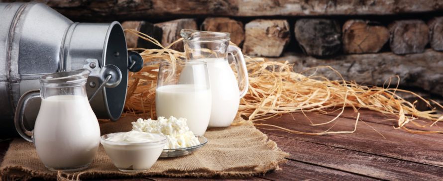 Milchprodukte zum Kostaufbau Μετά από χειρουργική επέμβαση γαστρικού bypass, τα γαλακτοκομικά προϊόντα συμβάλλουν σε πολλές περιπτώσεις στην ανάρρωση.