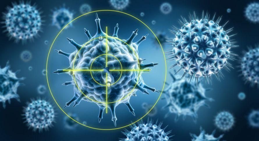 Starkes Immunsystem Starkes Immunsystem