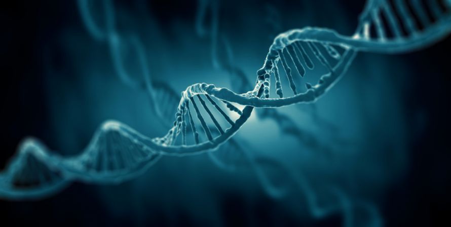 DNA-Strang DNA-Strang