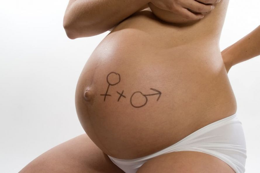 Frau mit Babybauch (Zwillingen) Woman with a baby bump (twins)