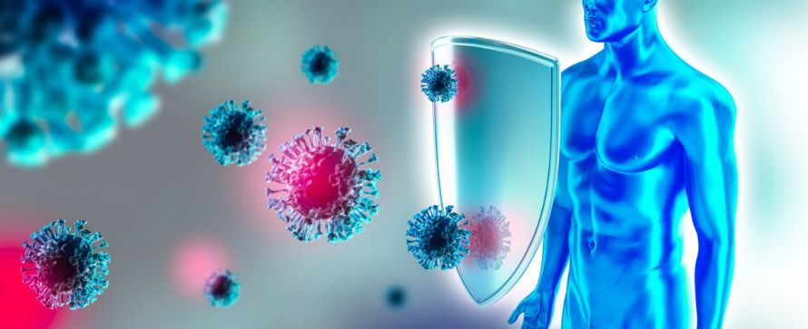Immunsystem Immunsystem
