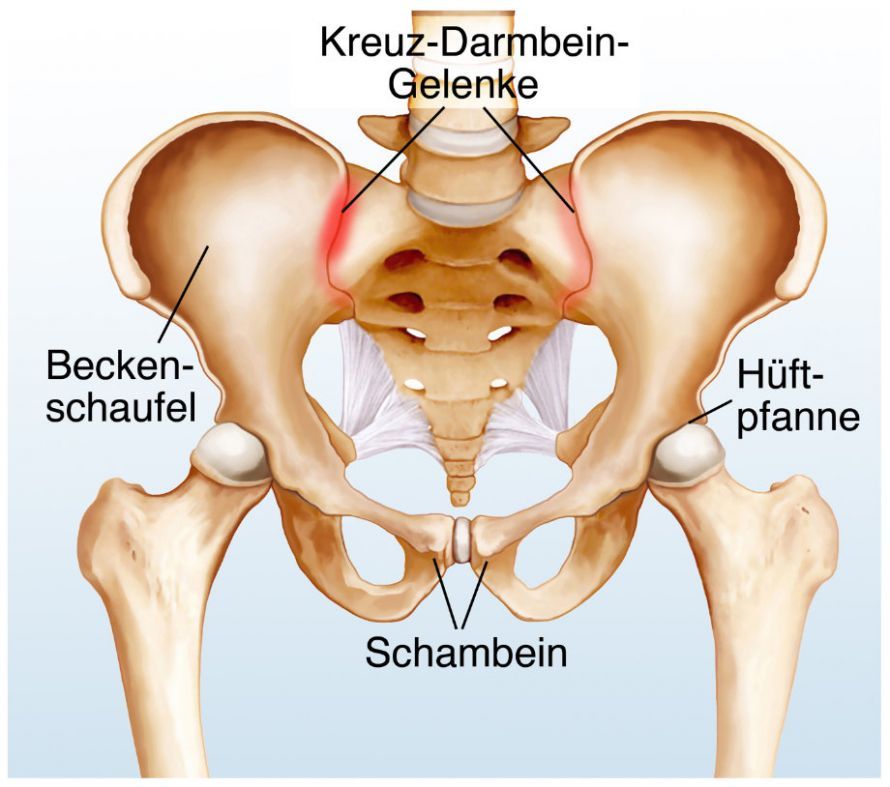 Ileosakralgelenk (Kreuz-Darmbein-Gelenk) Ileosakralgelenk (Kreuz-Darmbein-Gelenk)