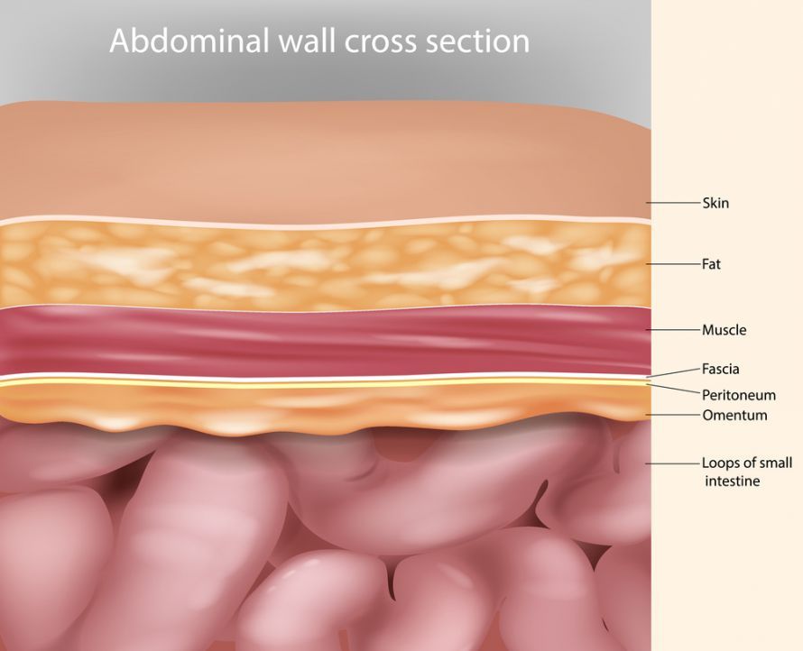 Peritoneum