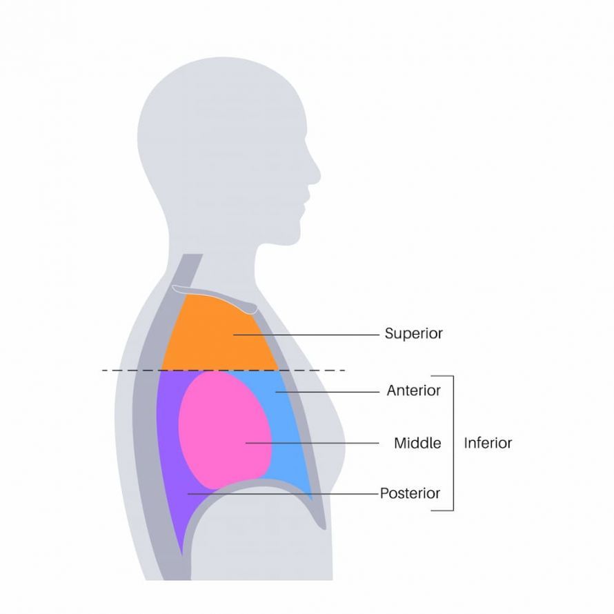 Abbildung oberes, mittleres, unteres, hinteres Mediastinum Illustration of the upper, middle, lower, and posterior mediastinum