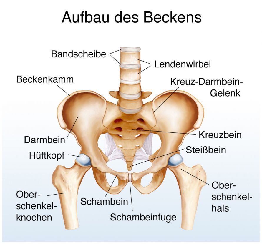 Aufbau des Beckens Δομή της πισίνας
