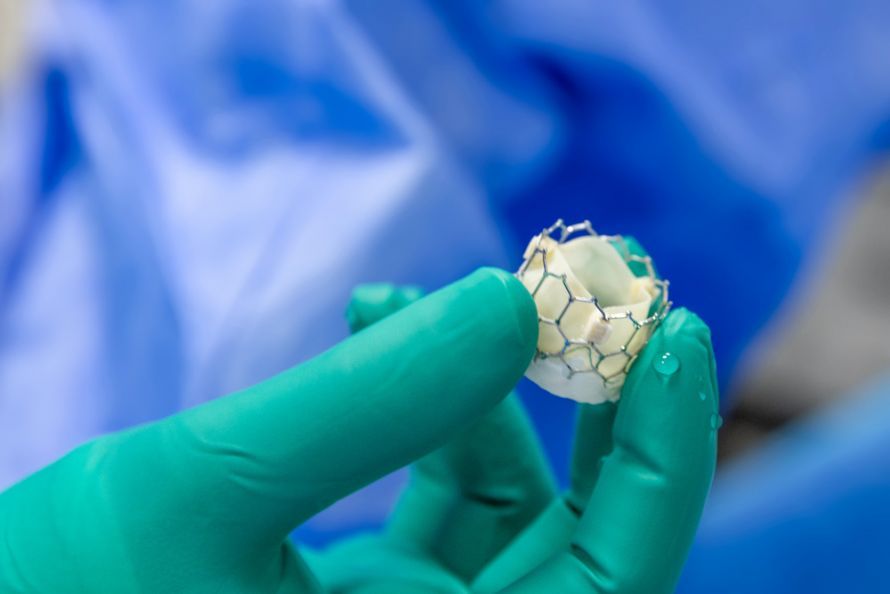 Stent für Herzklappe
