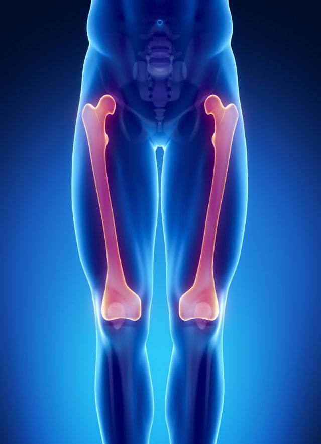 Oberschenkelknochen (Femur)