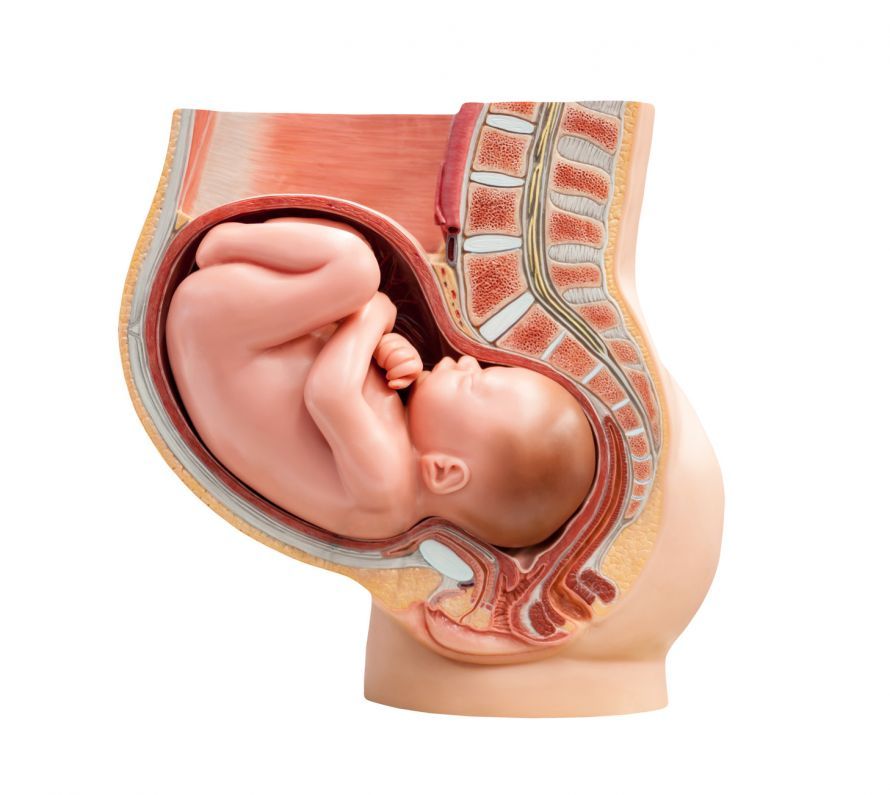 Baby in Gebärmutter Μωρό στη μήτρα