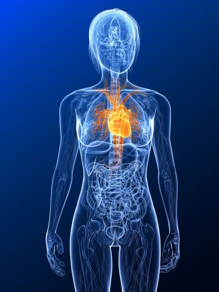 Chirurgie cardiaque