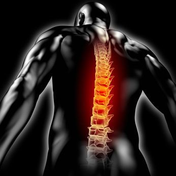 Rückenschmerzen Back Pain