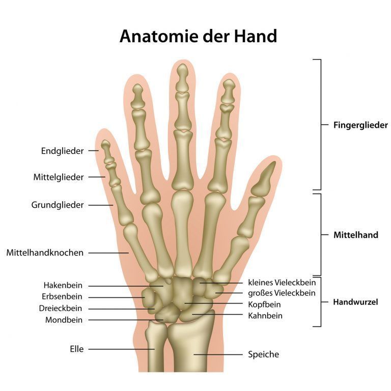 Klauser2.jpg Klauser2.jpg