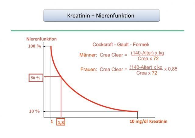 Kreatin Nierenfunktion Κρεατίνη και νεφρική λειτουργία