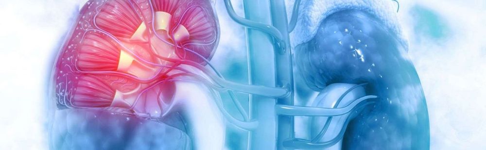 Nephrologie