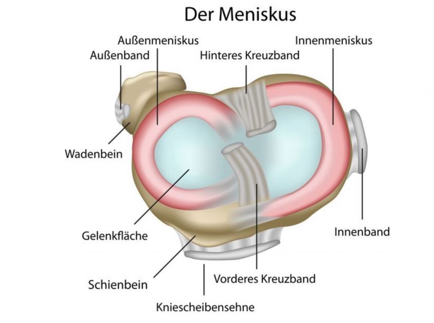 meniskus-abb.jpg