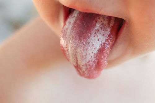 AdobeStock_87647382.jpg