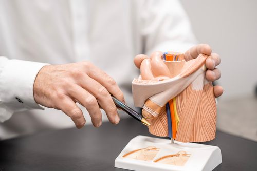 لمحات: hernienzentrum schweiz – Bild 1